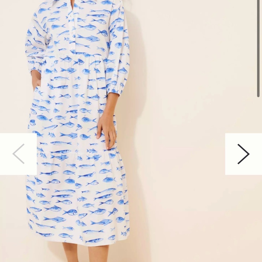 Anthropologie Bettina Midi Dress